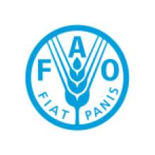 FAO