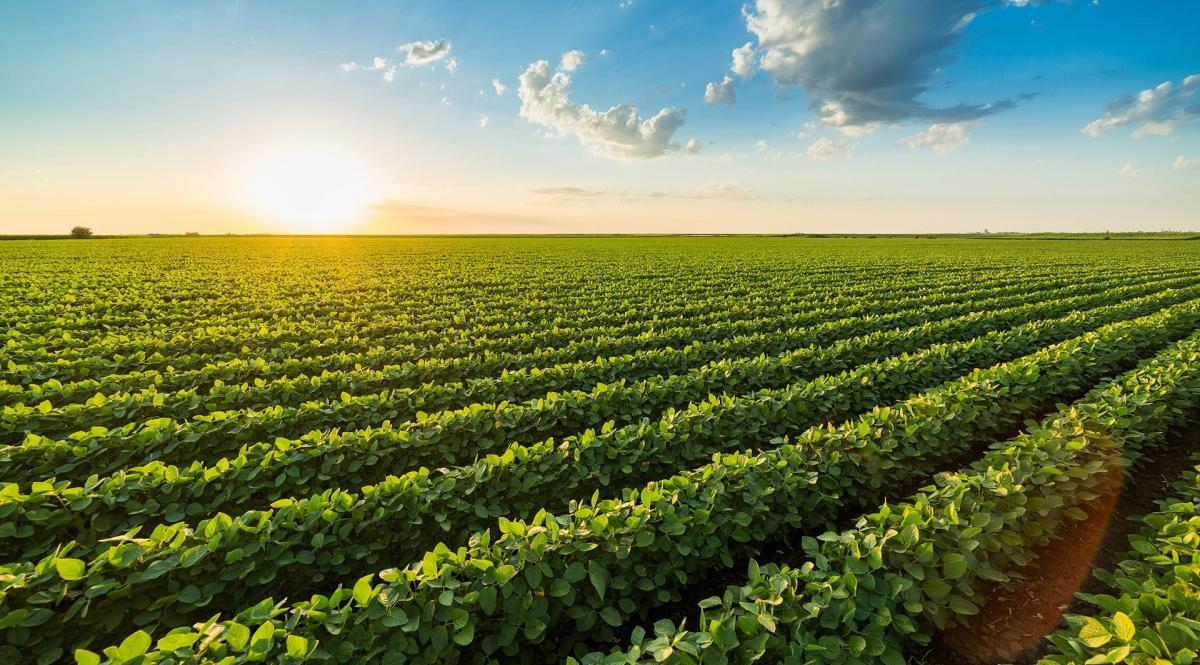 Agri-food community